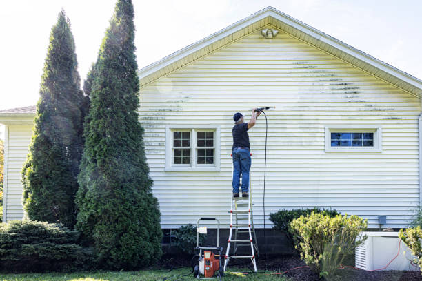 Best Driveway Pressure Washing  in Cheree, OK